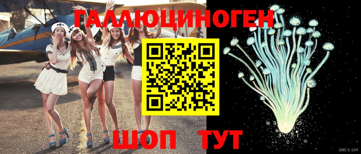 Тында  Псилоцибиновые грибы мухоморы  купить наркотики сайты  Вход с VPN 